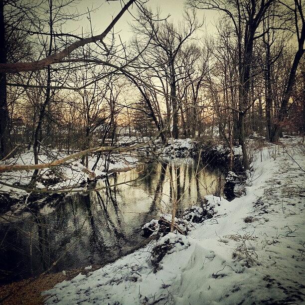 Winter Photograph - Snow Along The Banks Of Mill Creek by Brian Harris