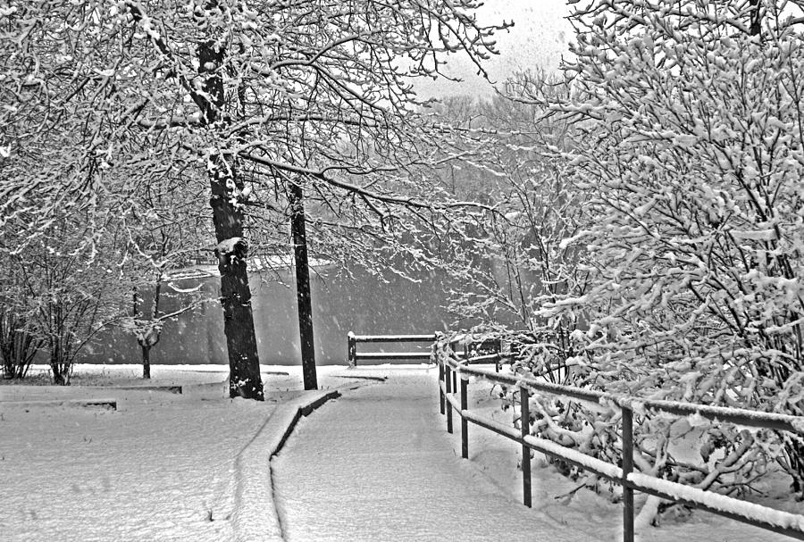 Snow along the path Photograph by Andy Lawless