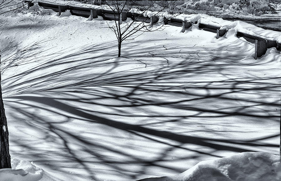 Snow And Shadows Photograph by Tom Singleton