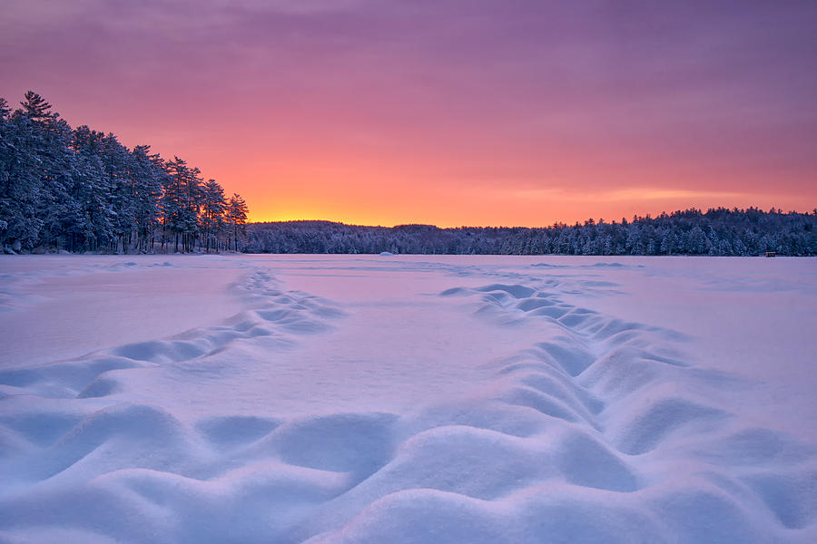 Snow and Sky Photograph by Darylann Leonard Photography