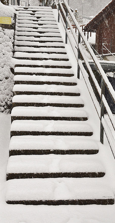 Snow and stairs Photograph by Felicia Tica