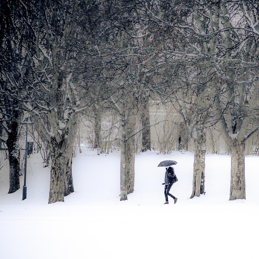 Woman with umbrella walking in park covered with snow Photograph by Aldona Pivoriene