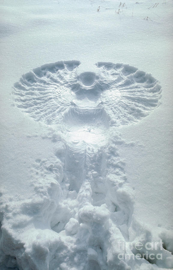 Winter Photograph - Snow Angel by Bill Longcore