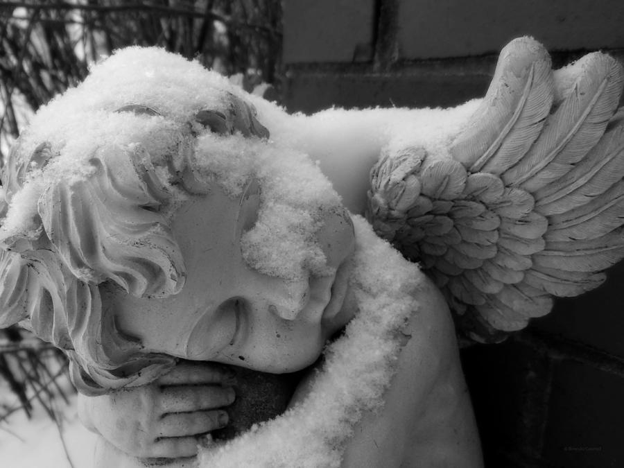 Black And White Photograph - Snow Angel by Dark Whimsy