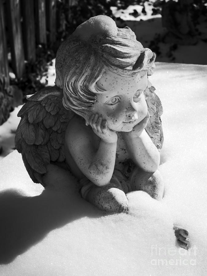 Snow Angel Photograph by MM Anderson