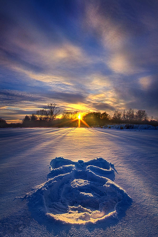 Snow Angel Photograph by Phil Koch