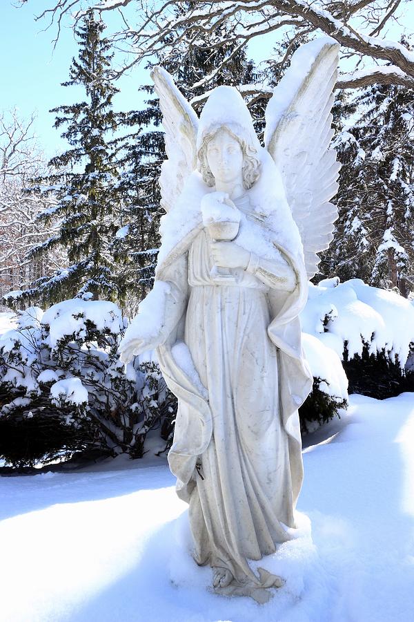 Snow Angel Photograph by Scott Kingery