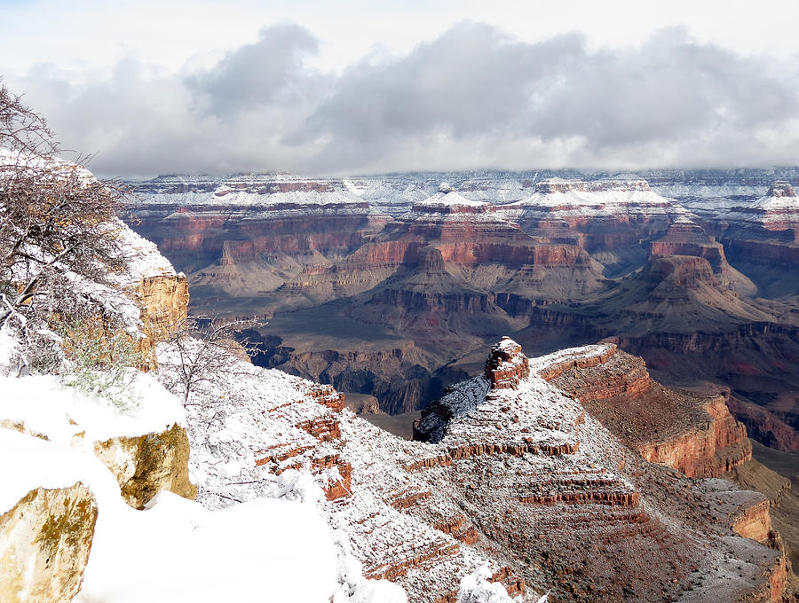 Snow at the Canyon Photograph by Laurel Powell
