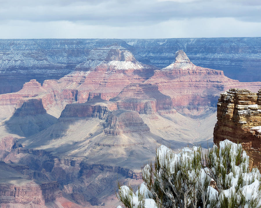 Snow at the Grand Canyon Photograph by Laurel Powell
