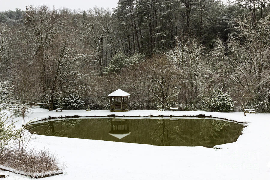 Snow At The Pond Photograph