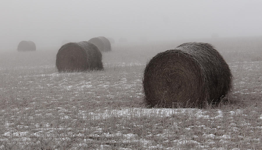 Winter Photograph - Snow Bales by Sarah Boyd