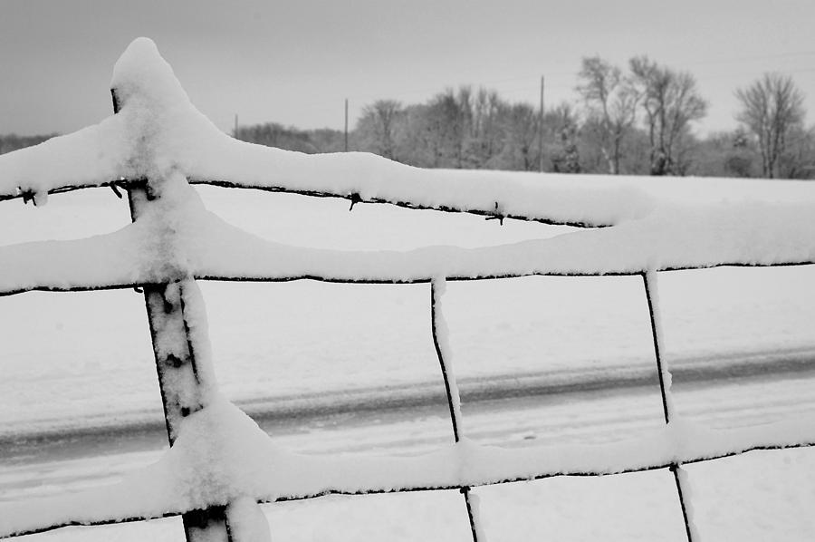 Snow Photograph - Snow Barbs by Sam Perry