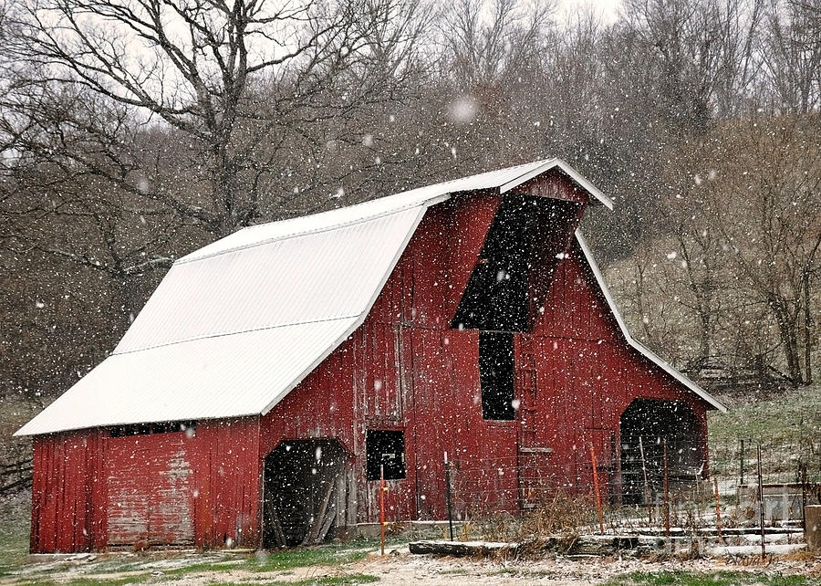 Snow Barn Photograph by Nava Thompson