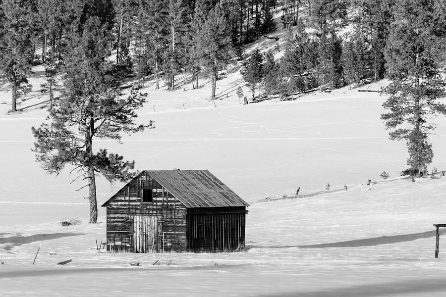 Snow Barn Photograph
