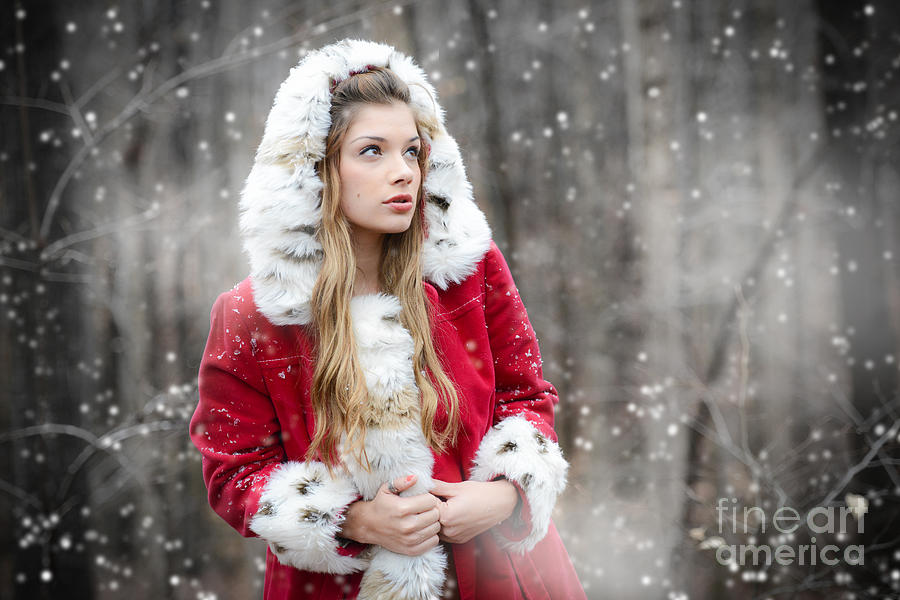 Christmas Photograph - Snow Beauty in Red by Jt PhotoDesign
