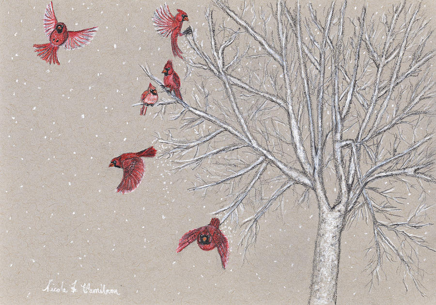Snow Birds Drawing by Nicole I Hamilton