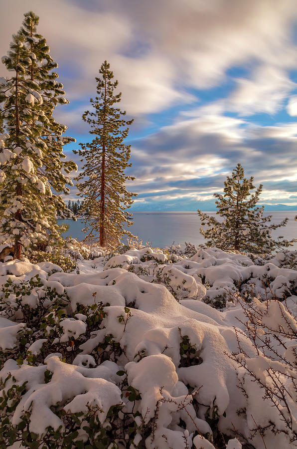 Snow Blanket Photograph by Jonathan Nguyen