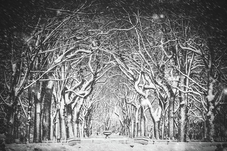 Snow Blizzard New York Photograph by Ferrantraite