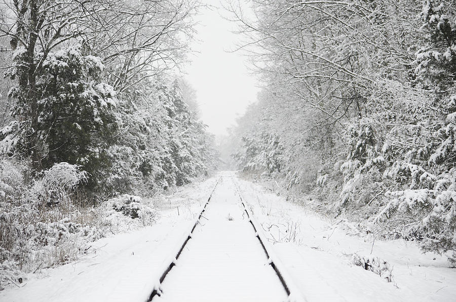 Snow Bound Photograph by Nancy Edwards