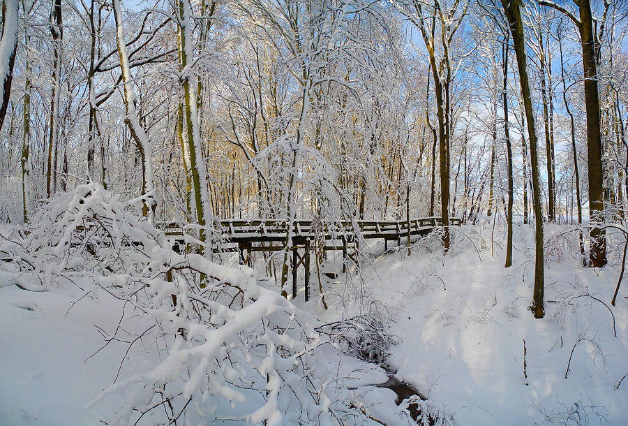 Snow Bridge Photograph by Raymond Salani III