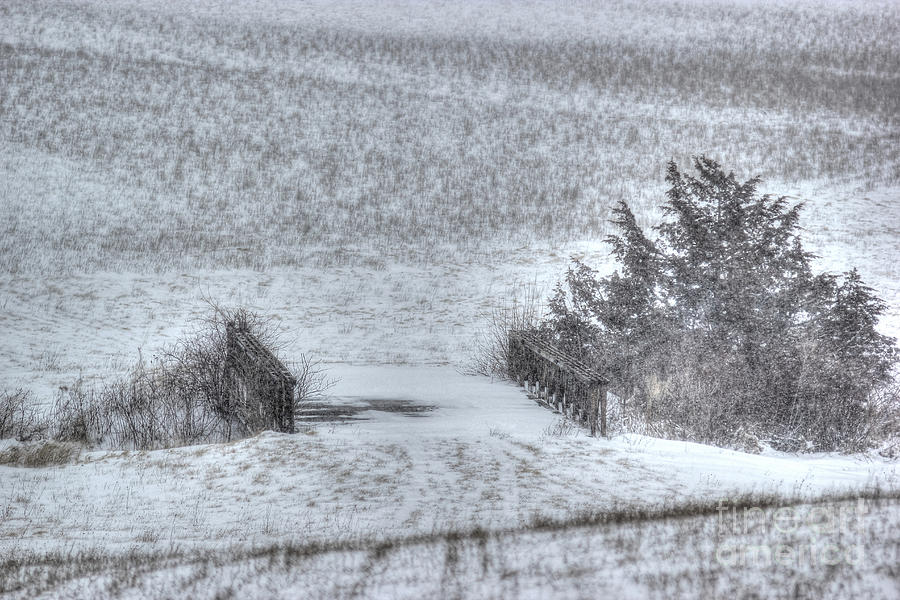 Snow Bridge Photograph by Thomas Danilovich