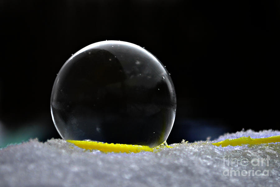 Snow Bubble Frozen Fetus Photograph by Lila Fisher-Wenzel