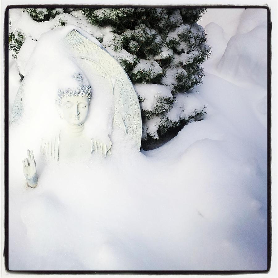 Snow Buddha Photograph By Anastasia Pleasant The buddha bitch‏ @thebuddhabitch 22 янв. fine art america