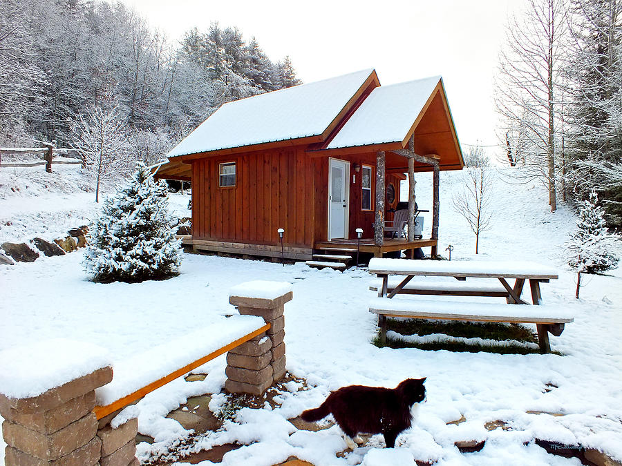 Snow Cabin Campsite with Cat Photograph by Duane McCullough