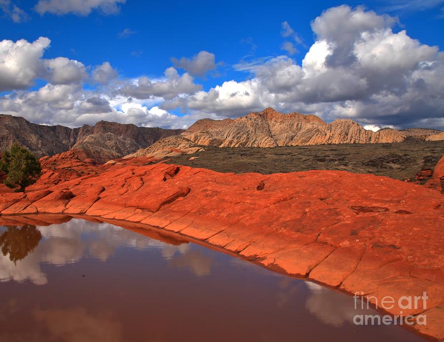 Snow Canyon Reflections Photograph by Adam Jewell