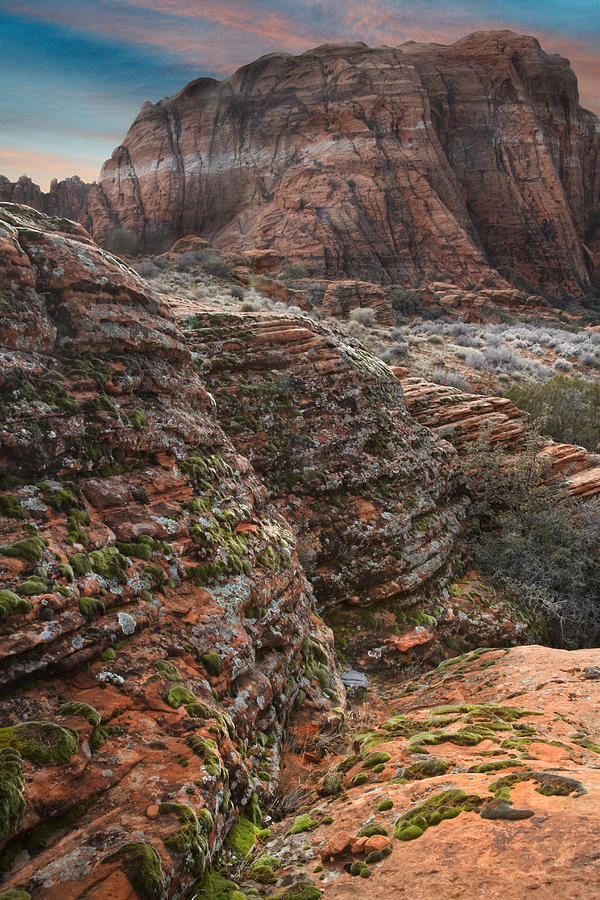 Sunset Photograph - Snow Canyon State Park Utah by Douglas Pulsipher