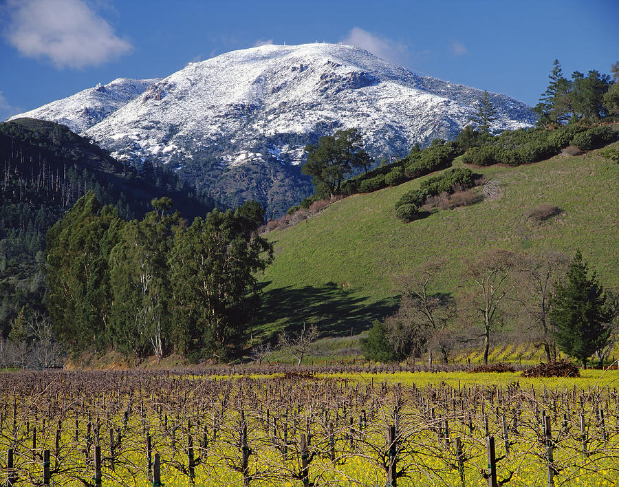 4B6384-Snow Capped Mt. St. Helena  Photograph by Ed  Cooper Photography