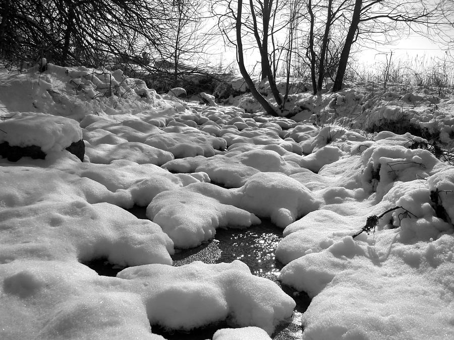 Snow Capped Stream Photograph by Tom DiFrancesca