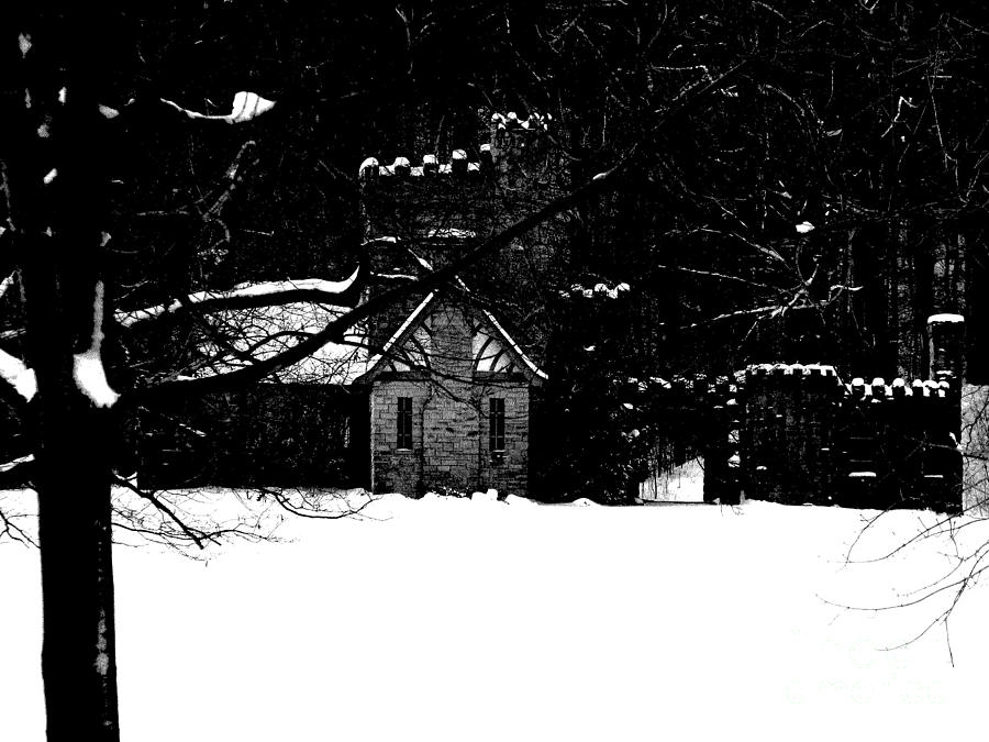 Snow Castle 2 Photograph by Michael Krek