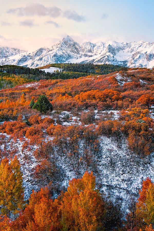 Snow covered Autumn Photograph by Rick Wicker