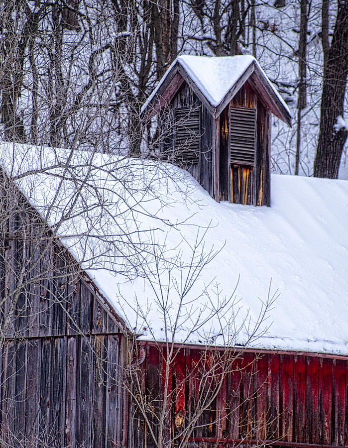Snow Covered Barn Photograph by Wayne Meyer