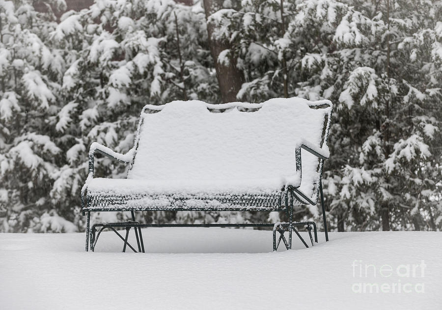 Winter Photograph - Snow covered bench 2 by Elena Elisseeva Winter Photograph - Snow covered bench 2 by Elena Elisseeva