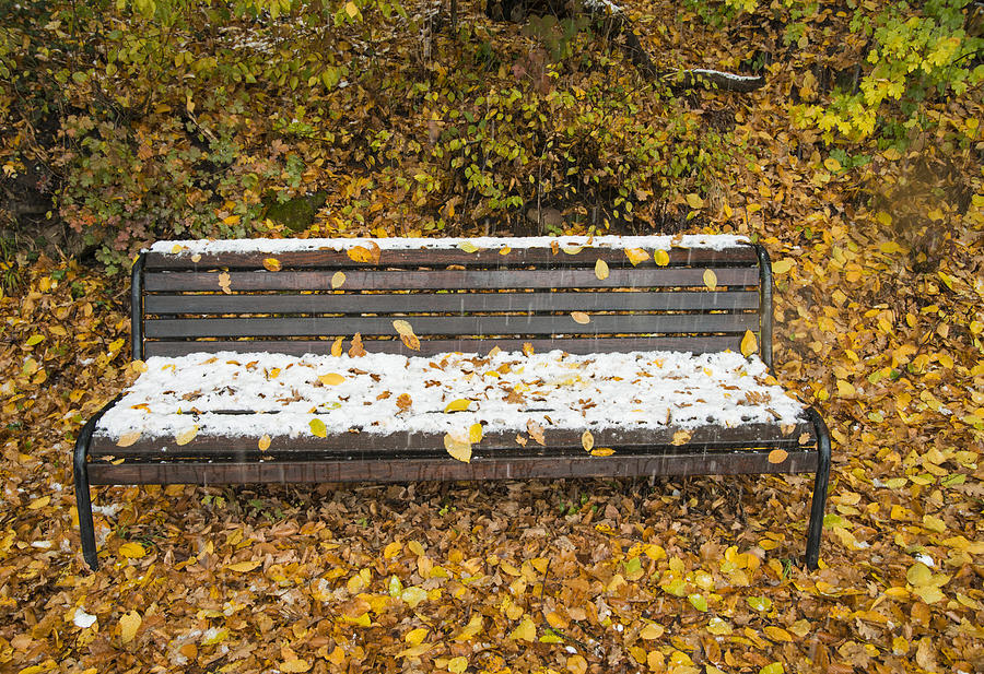 Fall Photograph - Snow covered bench in fall by Matthias Hauser