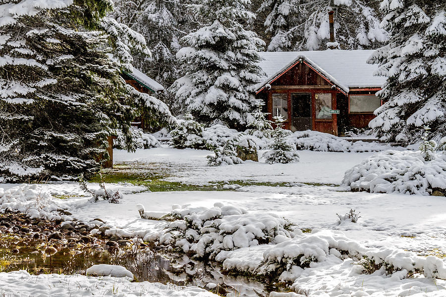 Snow Covered Cabin in the Woods Photograph by Rob Green