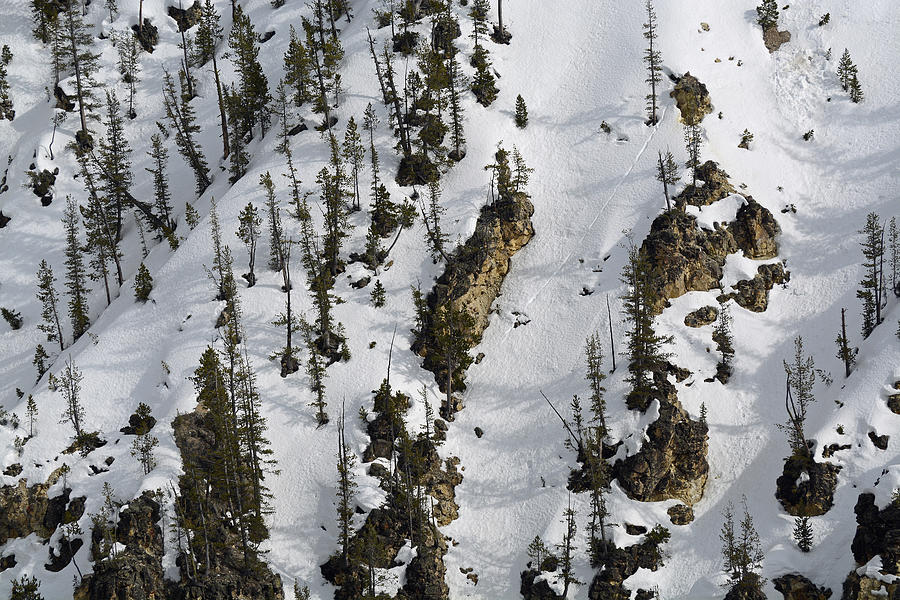 Snow-Covered Canyon Walls in Yellowstone National Park Photograph by Bruce Gourley