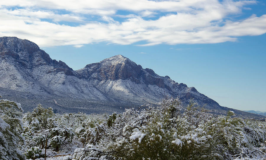 Snow-covered Catalina Mountains Photograph