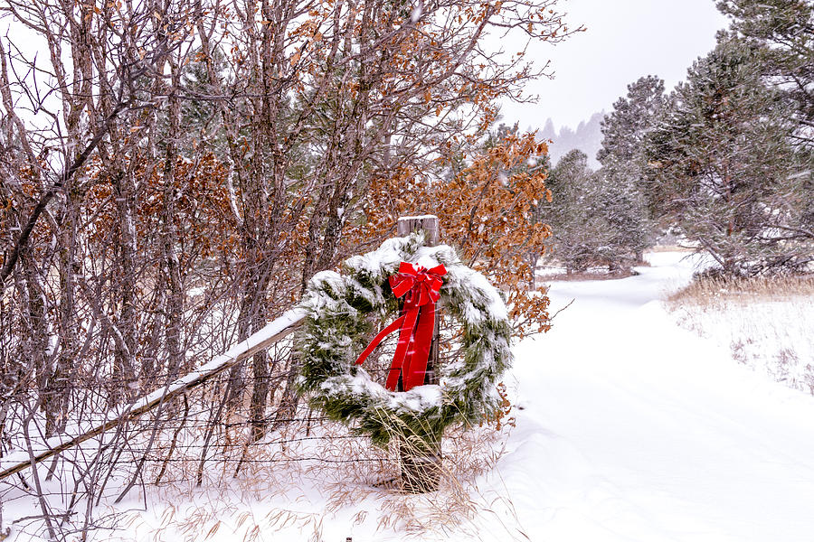 Snow Covered Christmas Wreath Photograph by Teri Virbickis