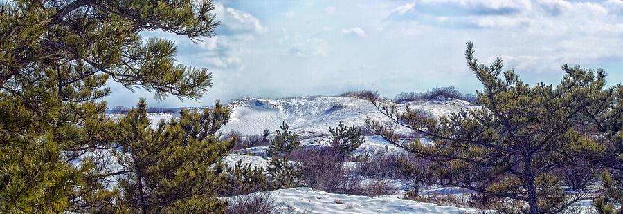Snow Covered Dunes Photo Art Photograph by Constantine Gregory