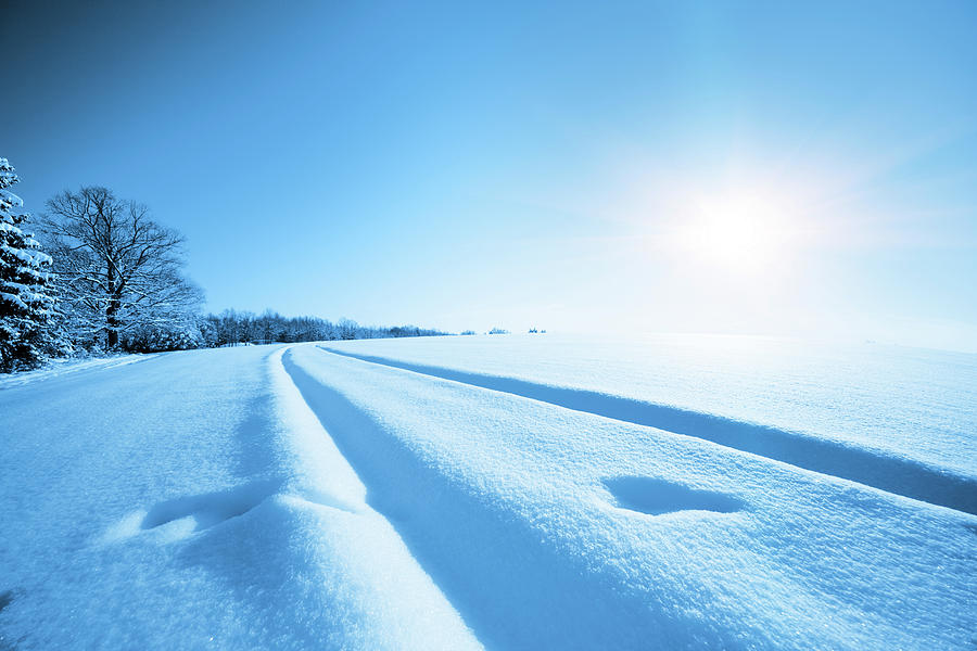 Snow Covered Field In Sunlight Photograph by Wladimir Bulgar