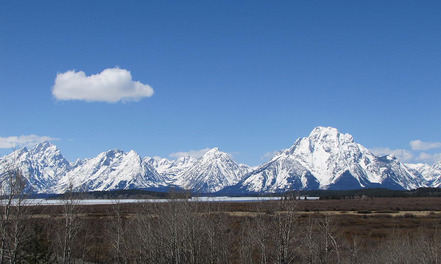 Snow covered Grand Tetons Photograph by Toni and Rene Maggio