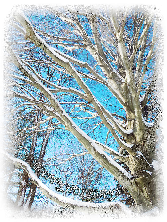 Winter Photograph - Snow Covered Holiday  by Shawna Rowe