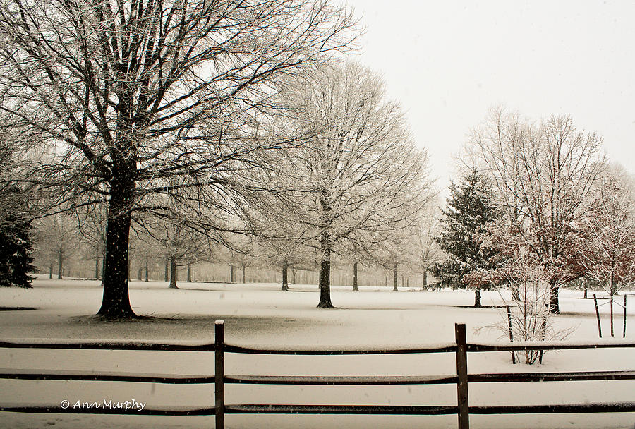 Snow-Covered Landscape Photograph by Ann Murphy