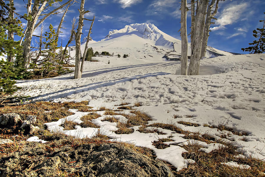 Mount Photograph - Snow Covered Mount Hood in Oregon by David Gn Mount Photograph - Snow Covered Mount Hood in Oregon by David Gn