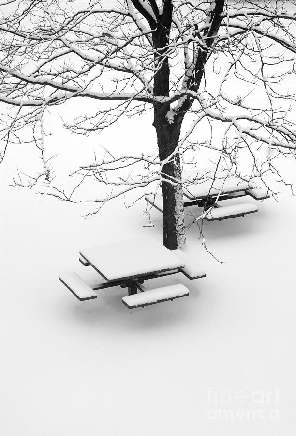 Snow covered picnic bench 2 Digital Art by Glenn Morimoto - Pixels