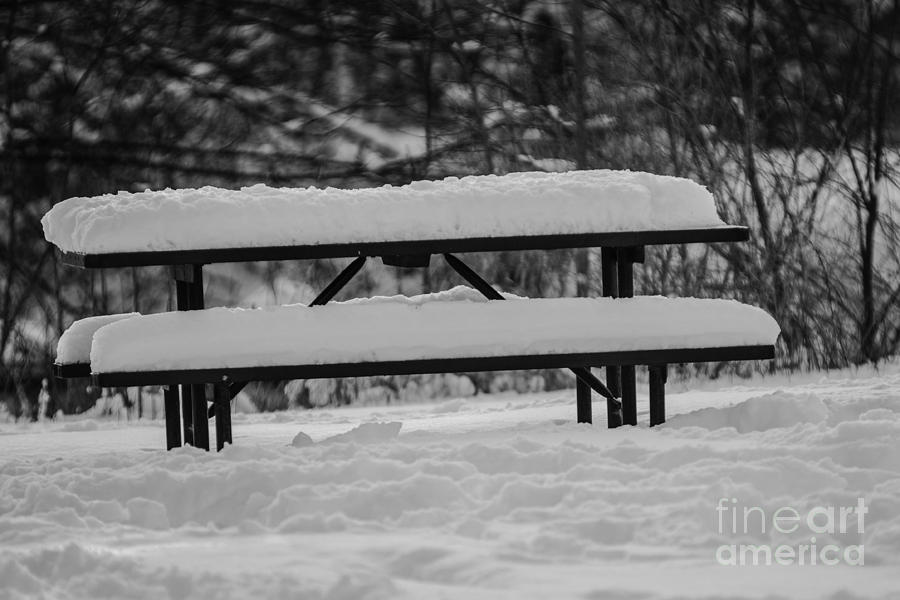 Snow Covered Picnic Table Photograph by JT Lewis