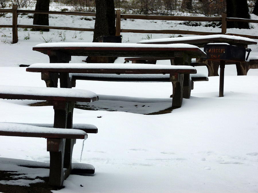 Snow Covered Picnic Tables  Photograph by Jeff Lowe